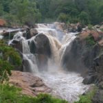 Lowveld Botanical Gardens